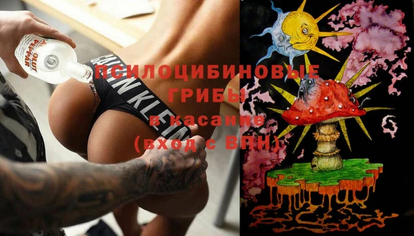 мдпв Абаза