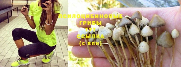MESCALINE Абинск