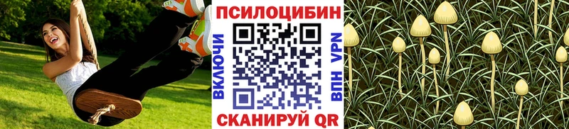 купить Новопавловск Галлюциногенные грибы ЛСД