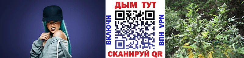 Бошки Шишки планчик  где можно купить   Новопавловск 